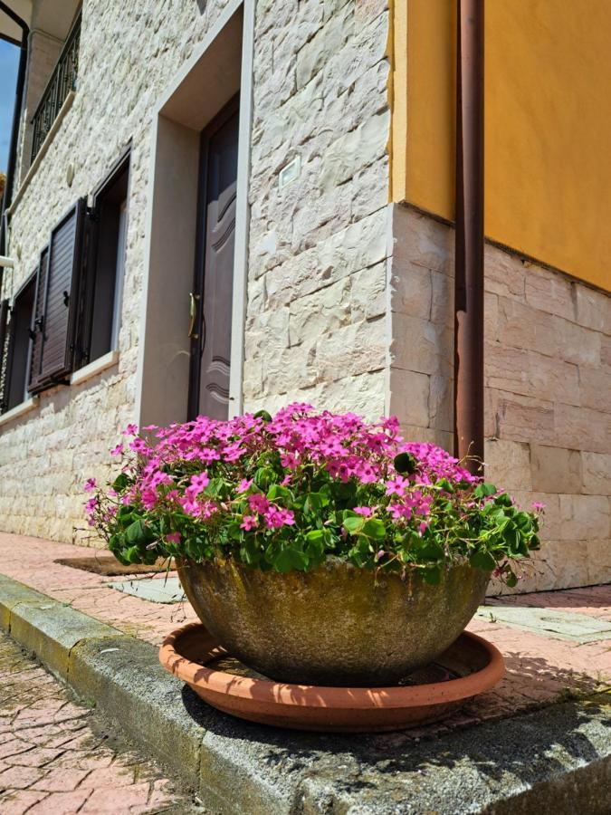 La Casa Di Mezzo-Affitti Brevi-Zona Ospedali Villa Busso Eksteriør bilde